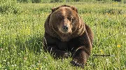 Oleg Yarovikov Bashinform News Agency archive